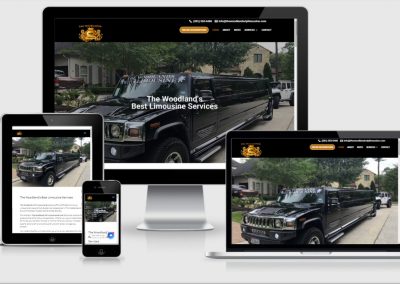 The Woodlands VIP Limousine Service